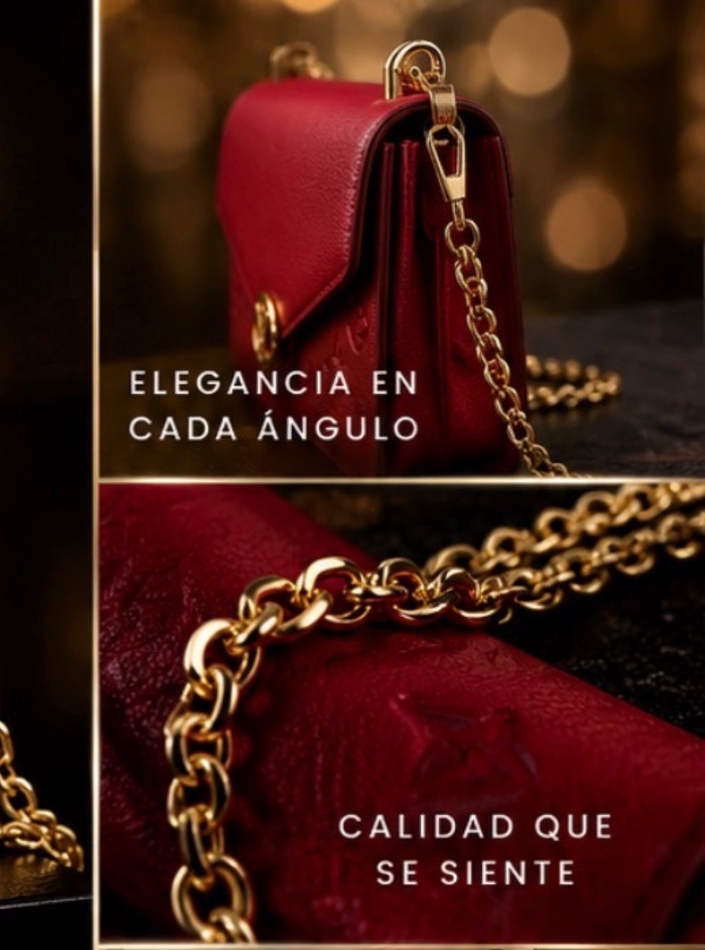 Reg elegant bag with Gold strap
